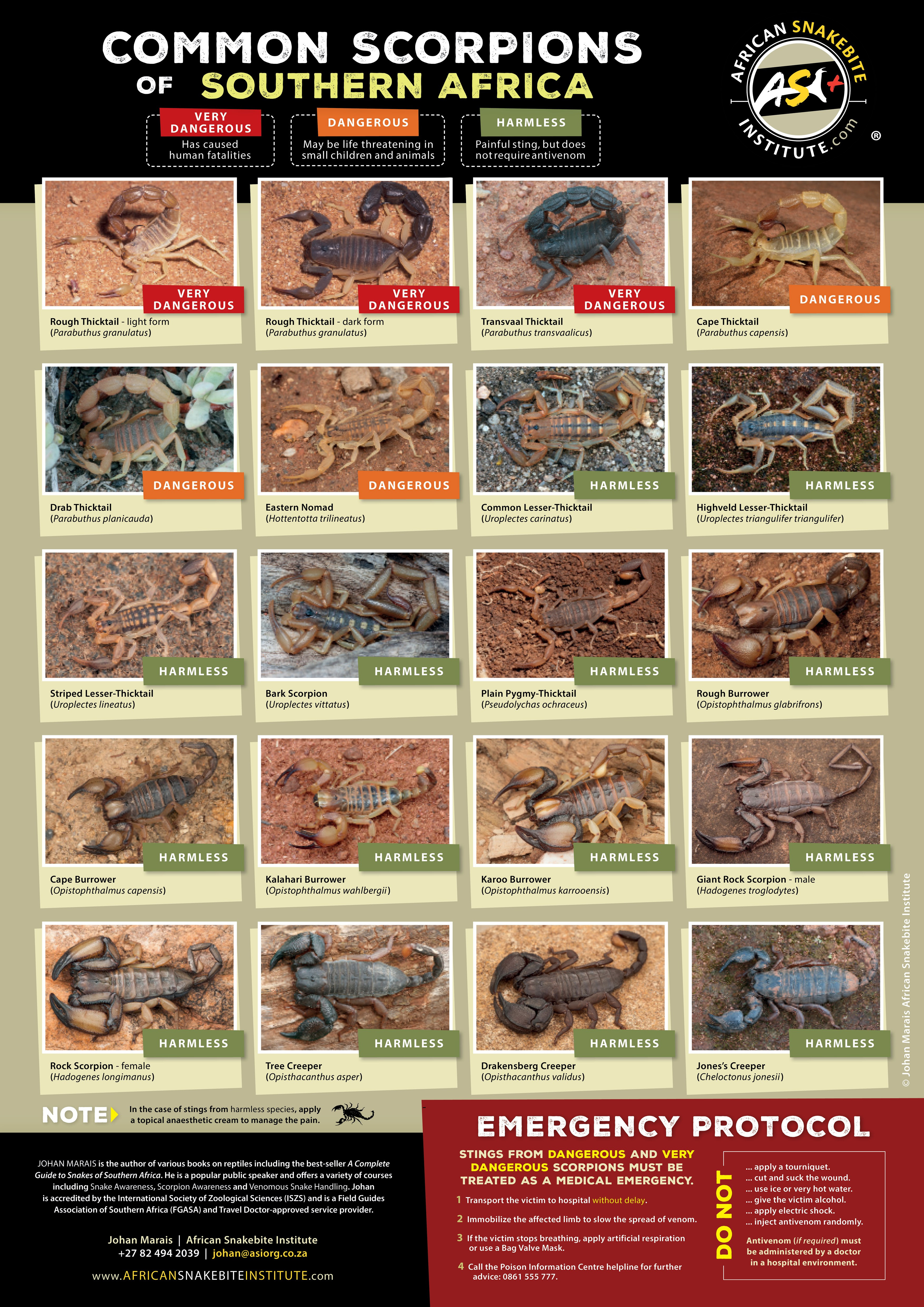 20180215_ASI_Scorpions-A3-Poster_SOUTHERN-AFRICA_ENG-1