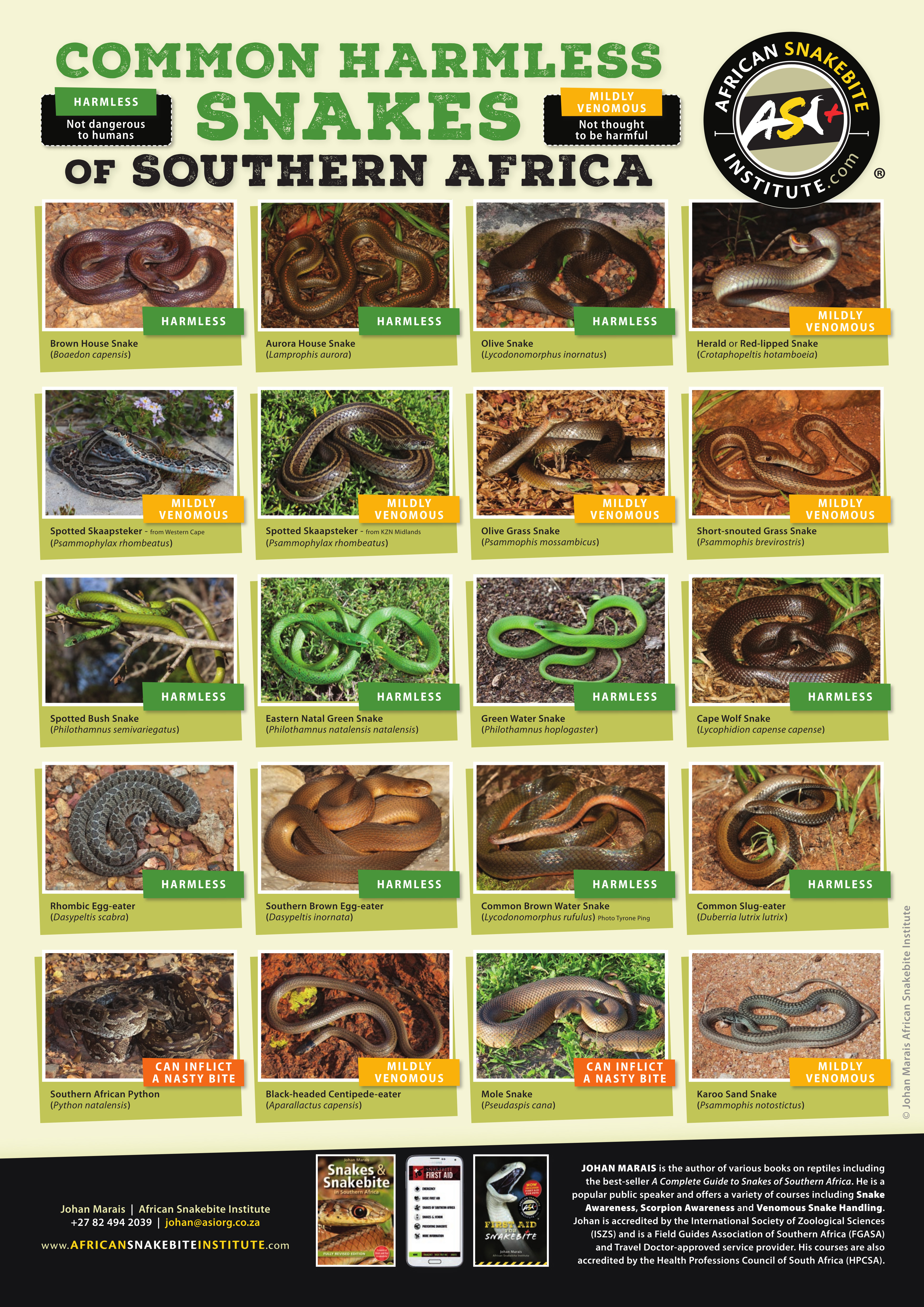 20180222_ASI_CHSnakes-A3-Poster_ENG_WEB